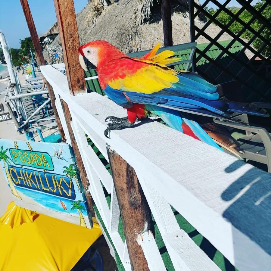 posada chikiluky baru Playa Blanca Exteriér fotografie
